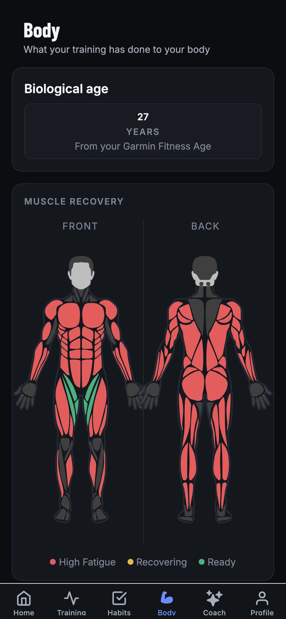 Interactive muscle recovery map
